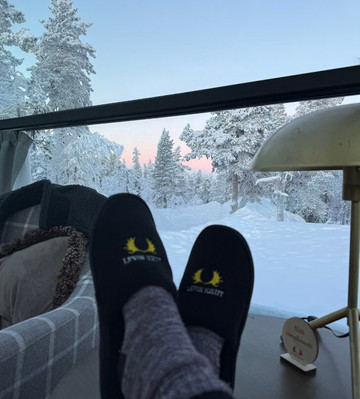 金冠 - 莱文伊格鲁特度假屋酒店主图