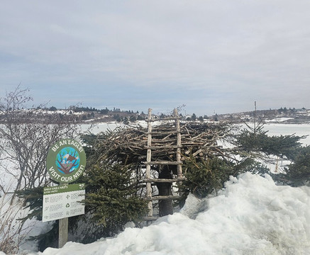Hope For Wildlife-Seaforth必去景点