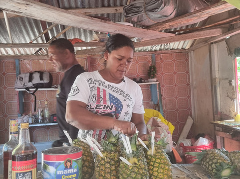 Moto Marina Tours-Santa Barbara de Samana必去景点