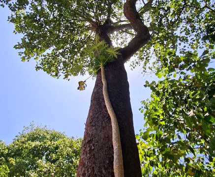 Paradies Sea Travel & Tour-兰塔岛必去景点
