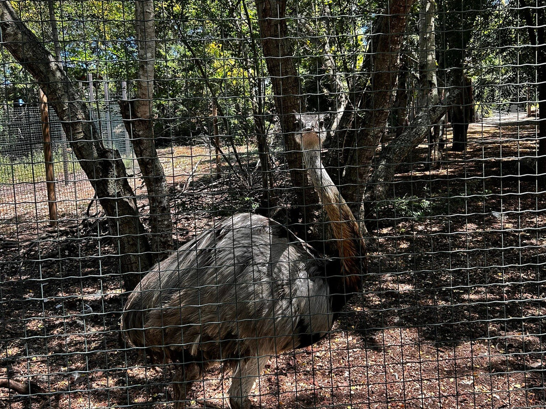 Zoo Parc De La Réunion-Etang Sale Les Bains必去景点
