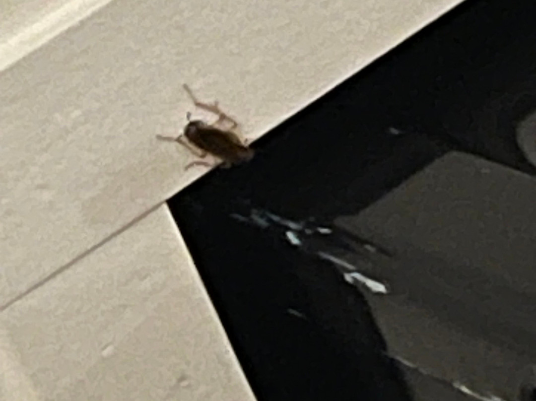 罗利核桃溪舒适套房酒店主图