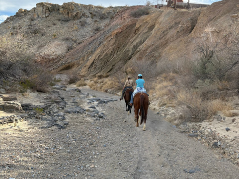 Big Bend & Lajitas Stables-Terlingua必去景点