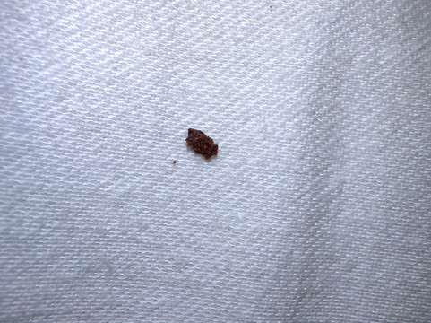 半月湾旅舍主图