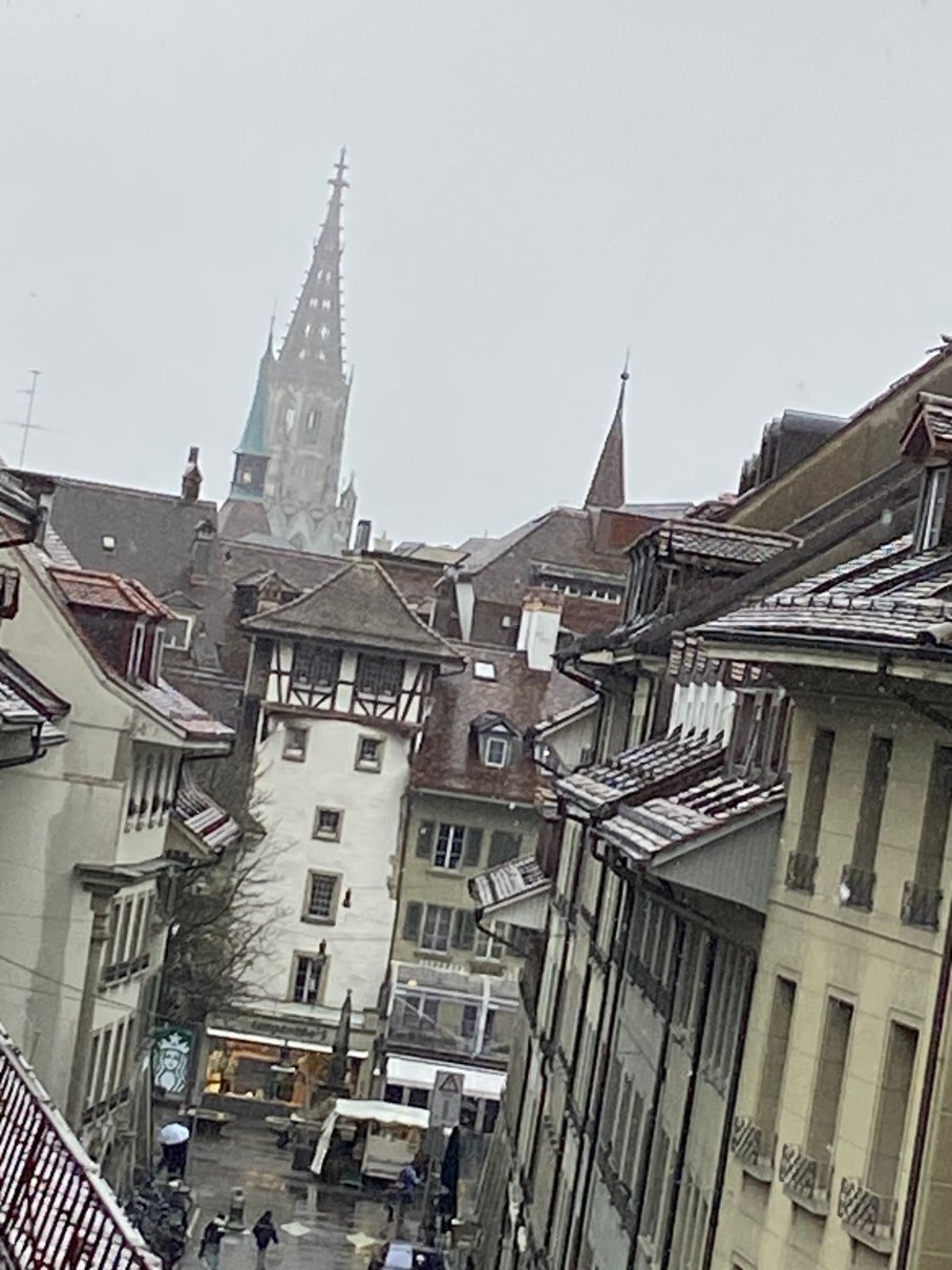 萨沃伊酒店-官方