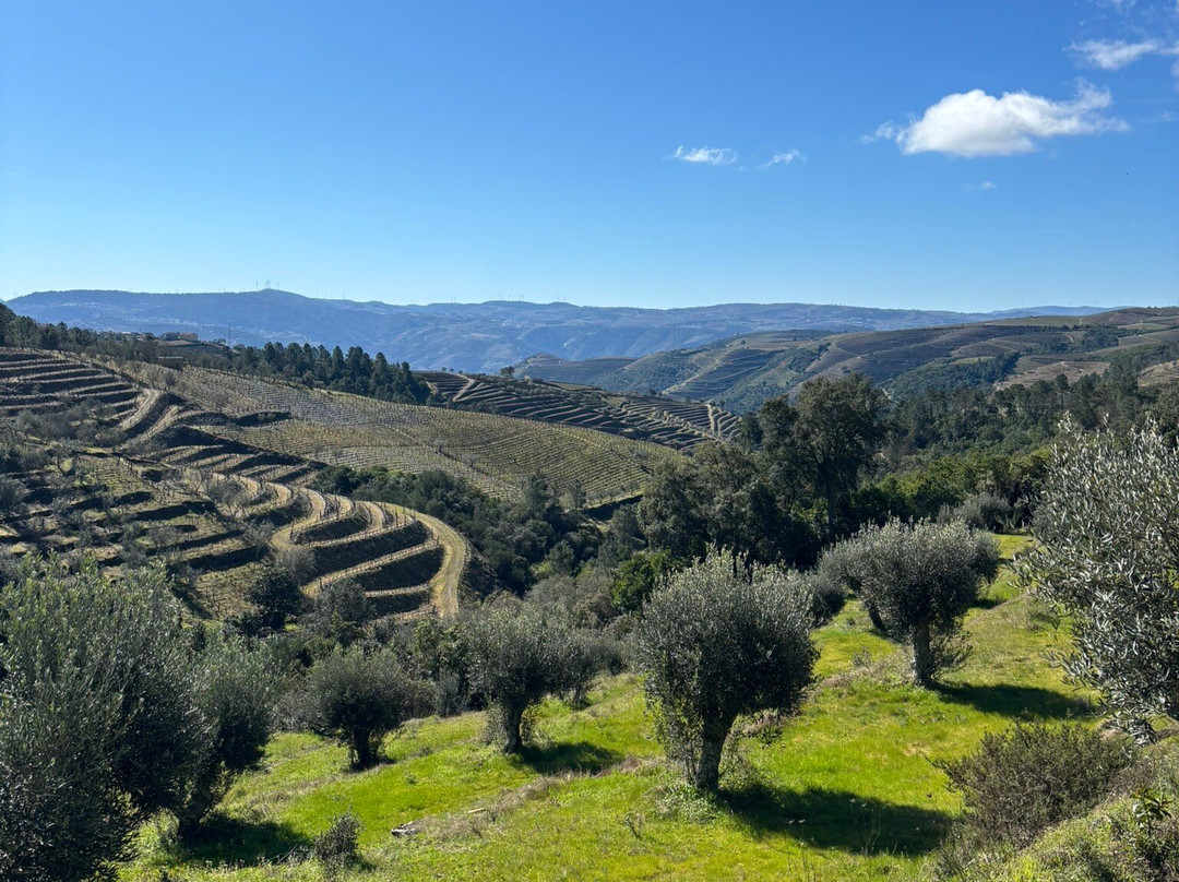 Quinta do Roncão-Vila Real必去景点