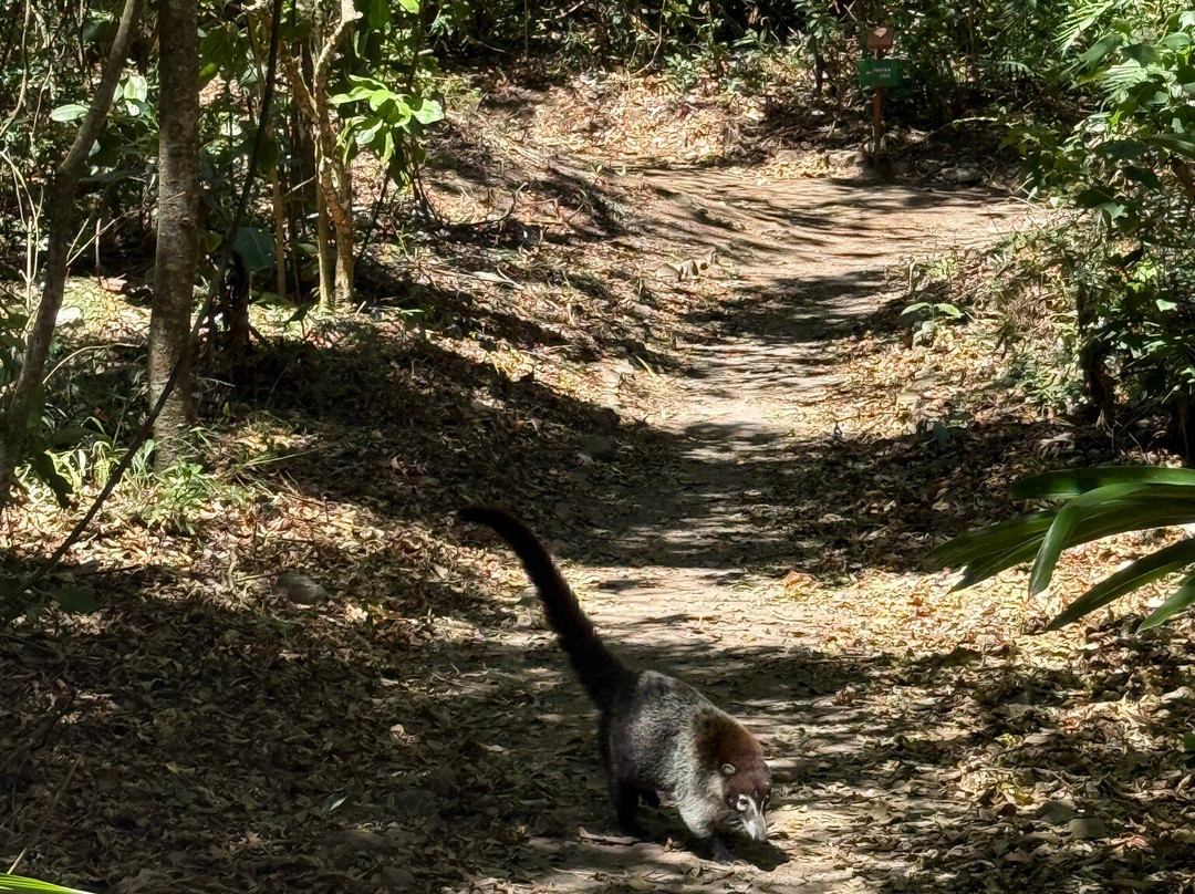 Valle Escondido Nature Reserve-蒙特沃德必去景点