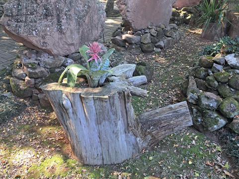 Esculturas Parque Pedras Do Silêncio-Nova Petropolis必去景点