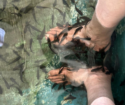 Fundera Park-Yelagiri必去景点