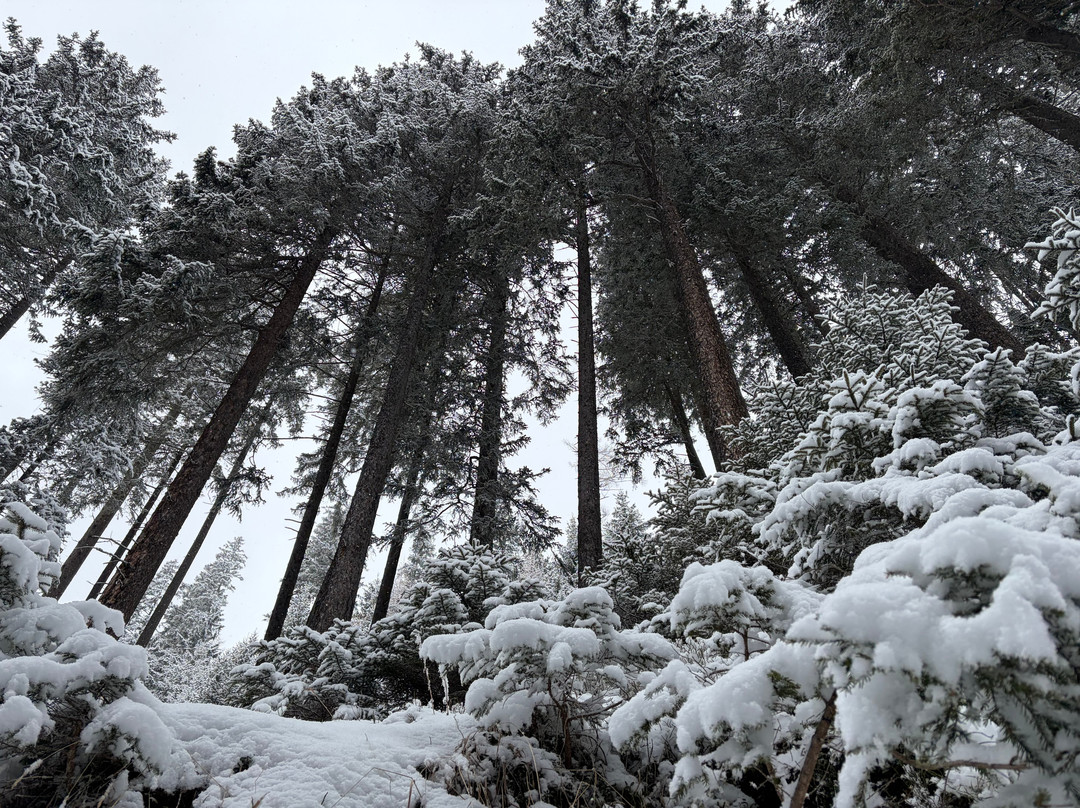 VALARA 阿尔卑斯艺术酒店主图