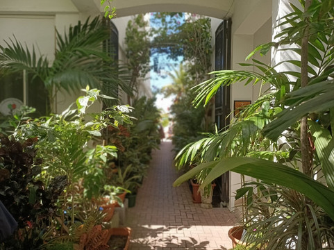 Phillipsburg Sint Maarten-菲利普斯堡必去景点