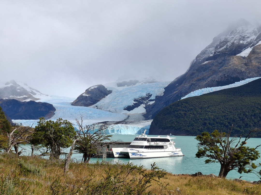 Solo Patagonia-埃尔卡拉法特必去景点