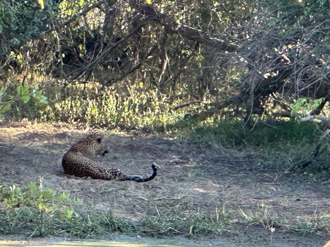 Shawmi Tours-Mawanella必去景点