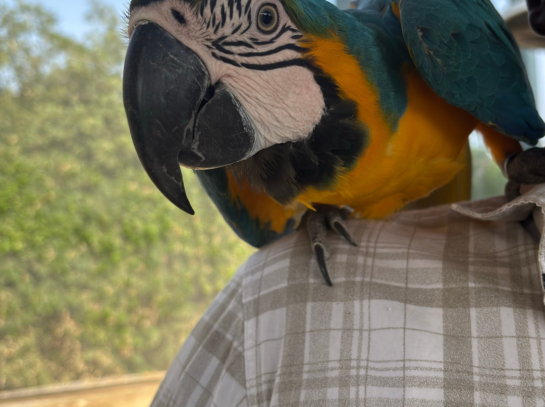 Trichy Birds Park-Tiruchirappalli District必去景点