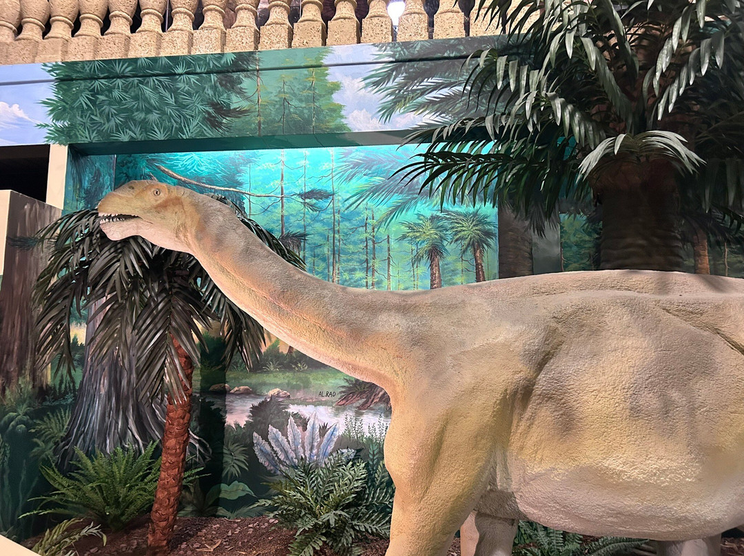The Dinosaur Store-可可海滩必去景点