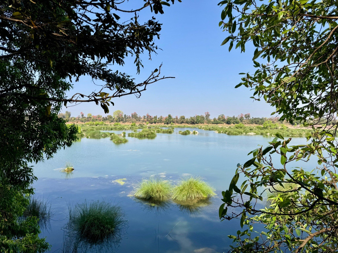 Panna National Park Safari