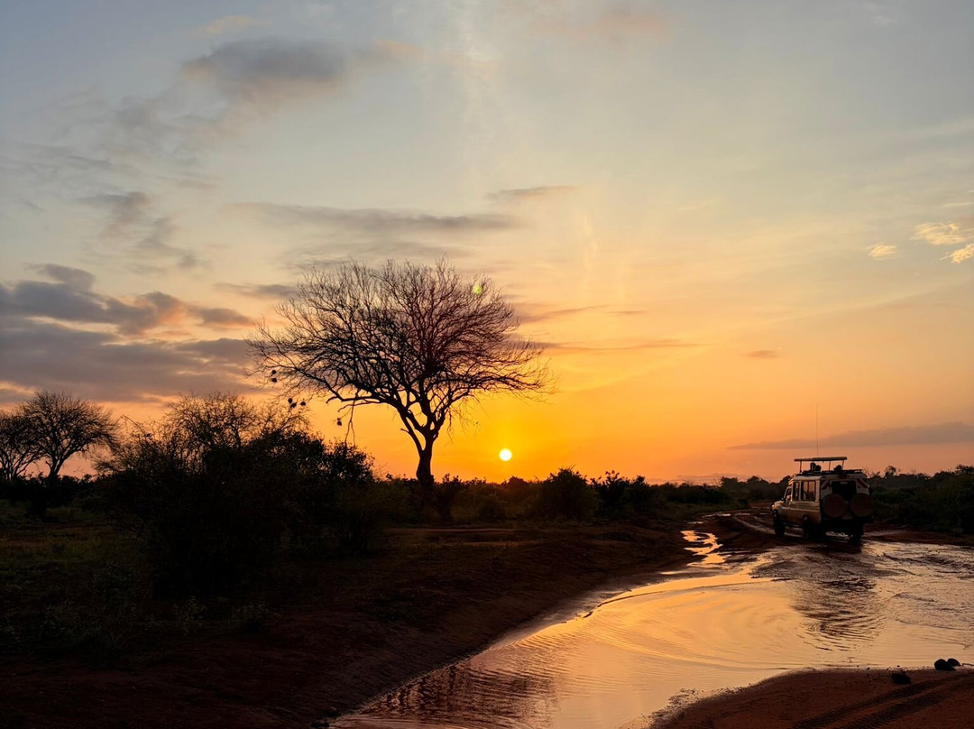 Tsavo East National Park-查佛必去景点