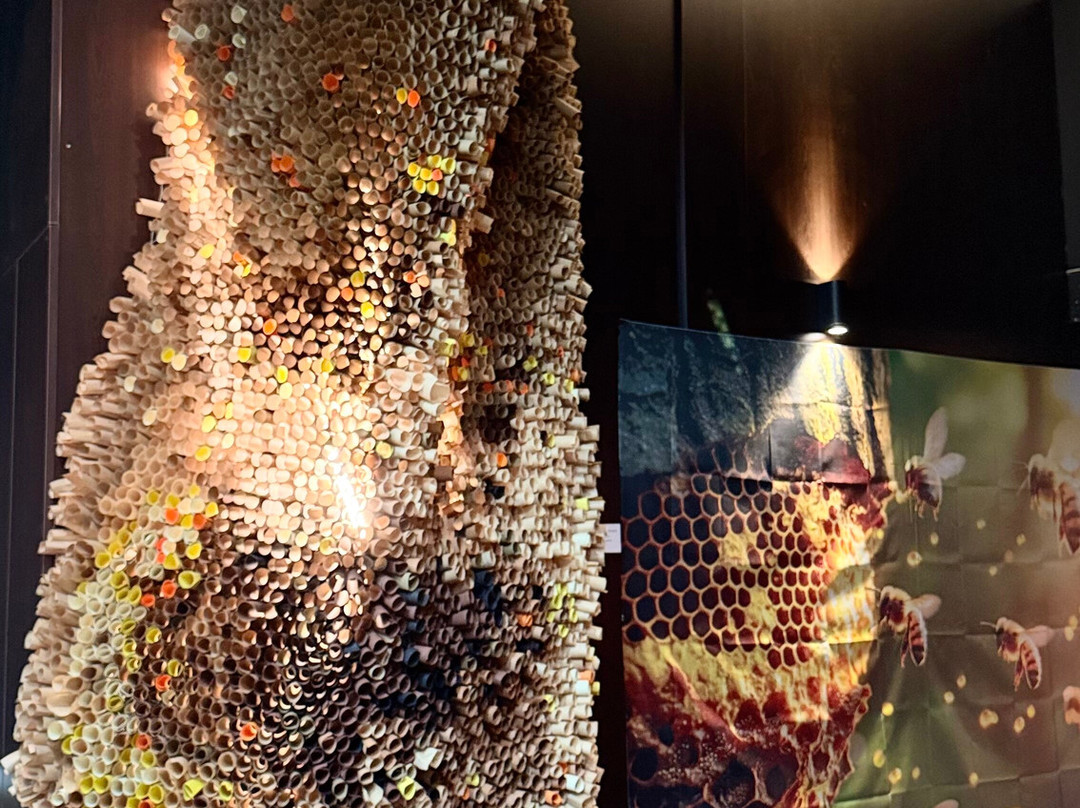 Bee Museum-诺帕克特斯必去景点