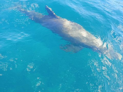 Crystal Boat Guadeloupe-Pointe-Noire必去景点