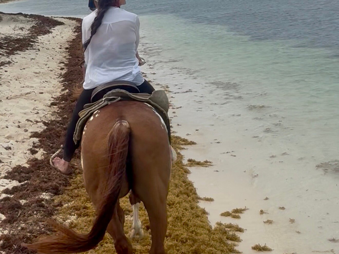 Spirit of the West-西湾必去景点