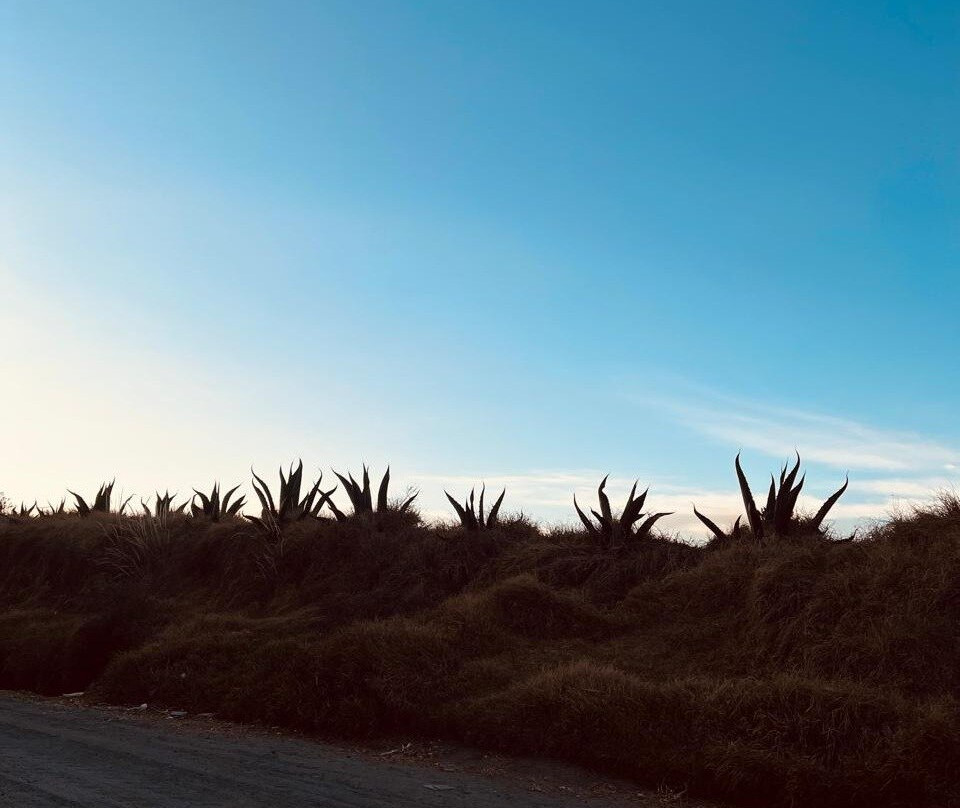 Santuario de las Luciérnagas - Bosque Mágico-Tlaxcala必去景点