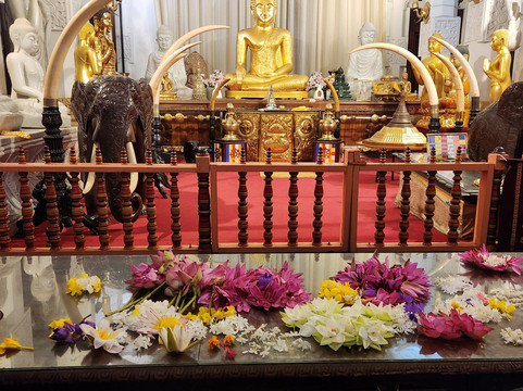 Dazzling Tours-康提必去景点