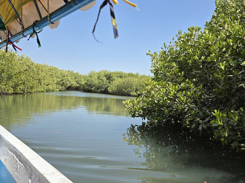 Kali Excursions Sénégal-索蒙必去景点