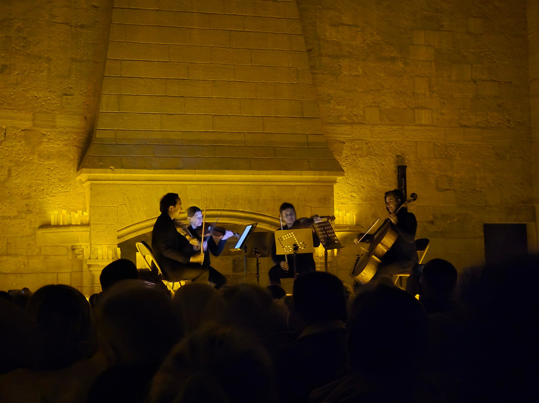 Candlelight Concerts By Fever-Remoulins必去景点