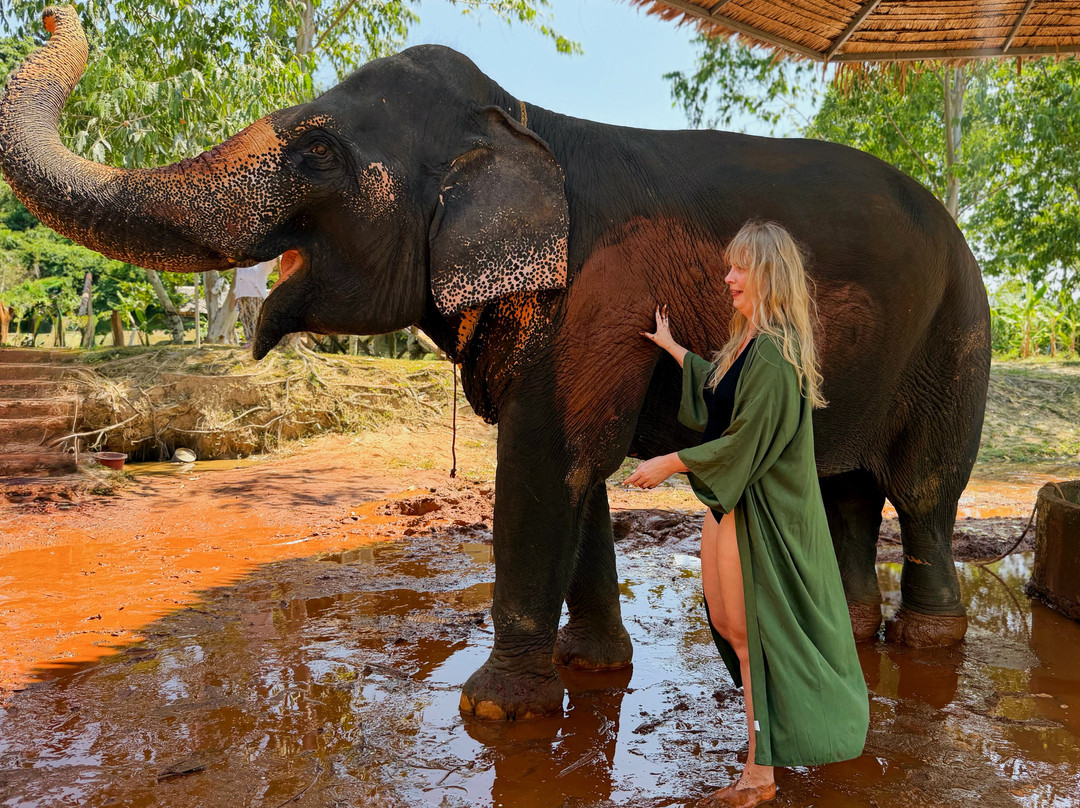 Phuket Elephant Care-奈通必去景点