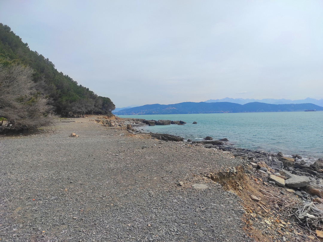 Isola Palmaria-韦内雷港必去景点