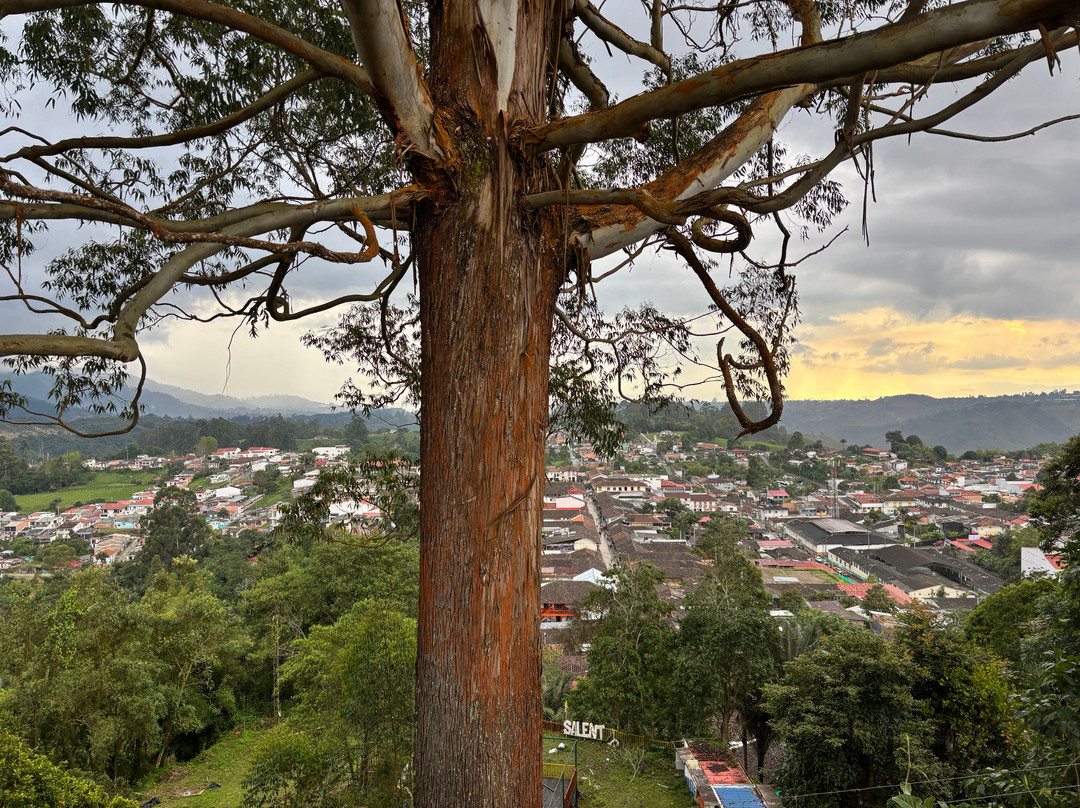 Ecoparque the Mirador Alto De La Cruz-萨伦托必去景点