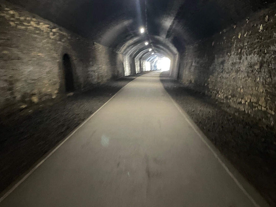 Blackwell Mill Cycle Hire-巴克斯顿必去景点