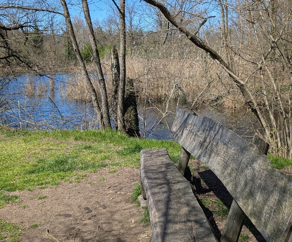 Il Parco dei Lagoni di Mercurago-Dormelletto必去景点