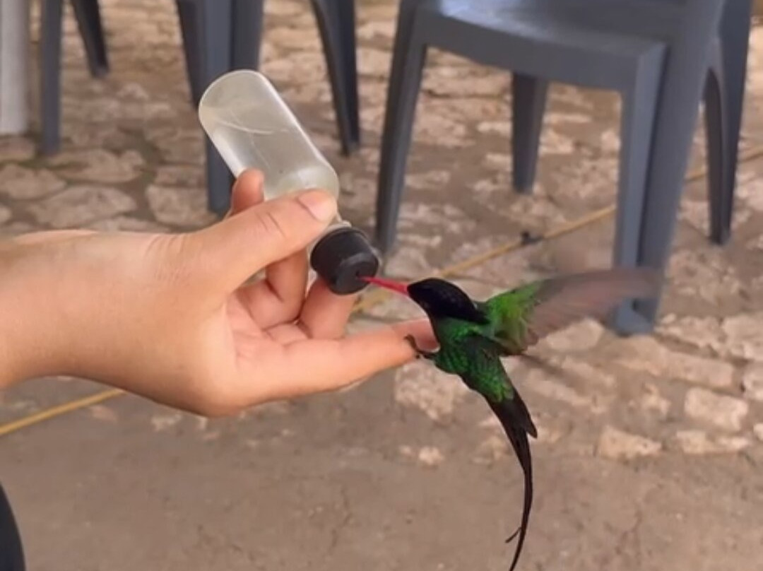 罗克兰兹鸟类保护区-Wiltshire必去景点