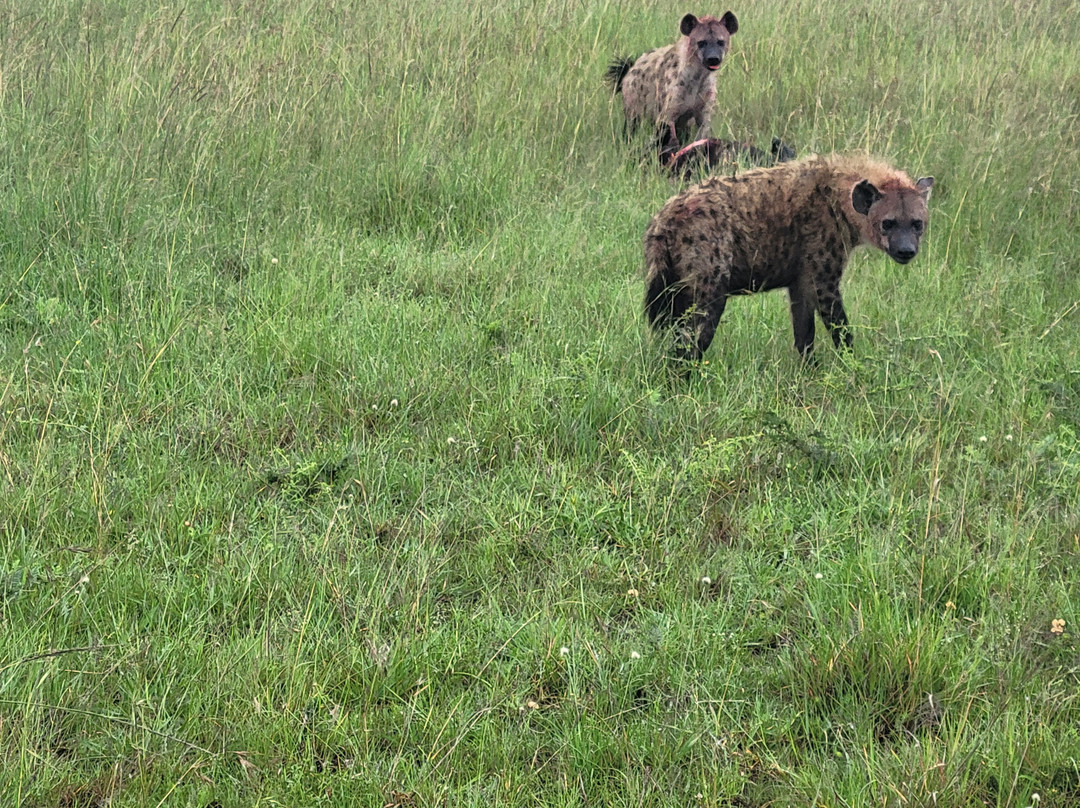 The Olmalaika Trust-Sekenani必去景点