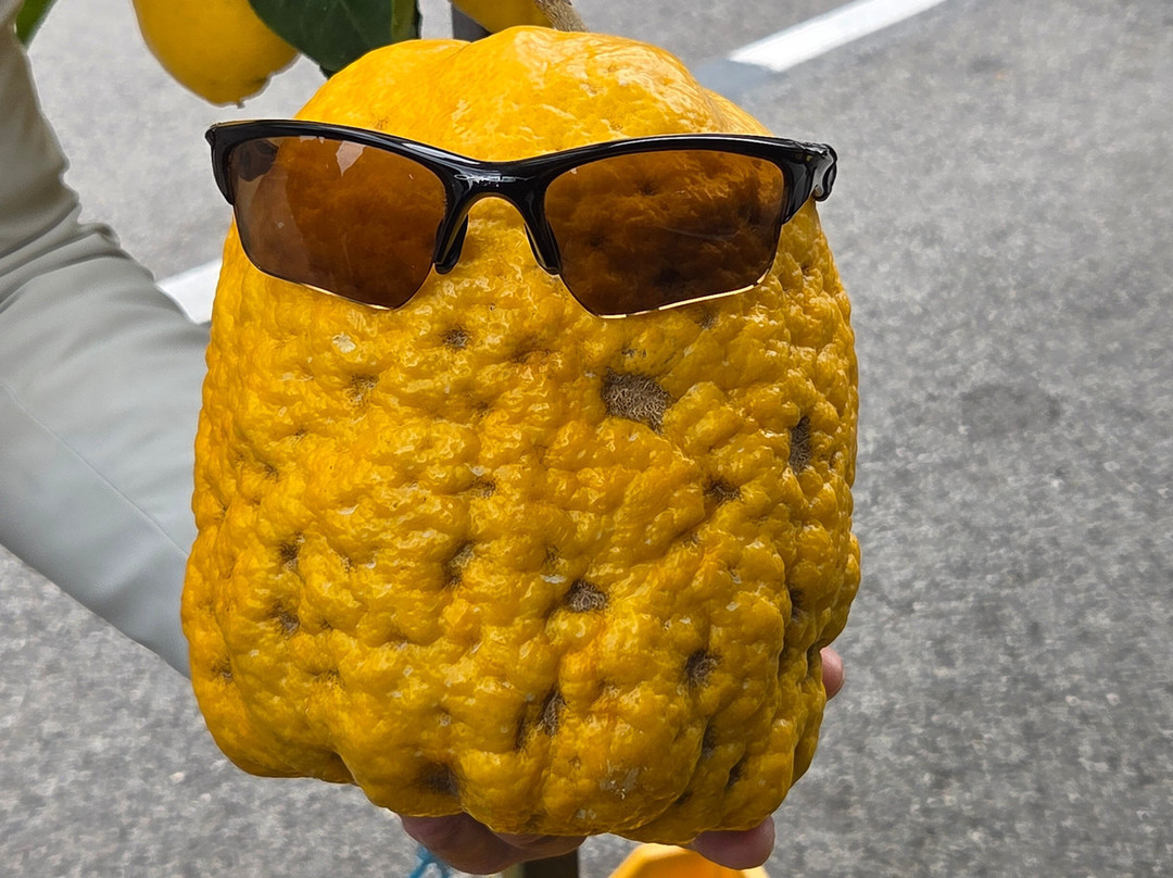 Sorrento Easy Travel-索伦托必去景点