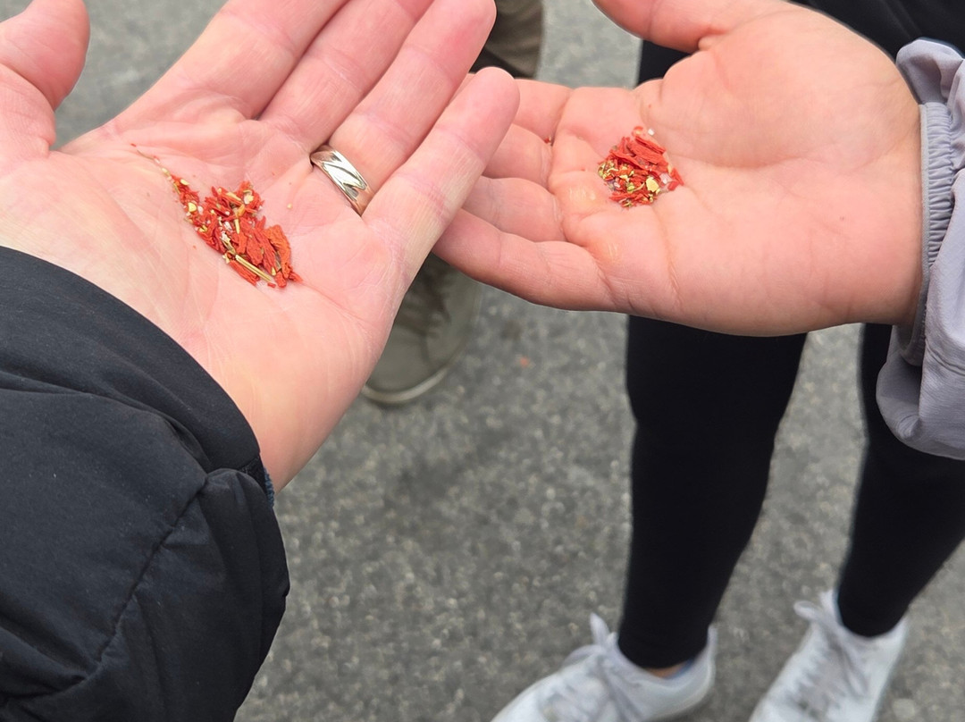 Sorrento Easy Travel-索伦托必去景点