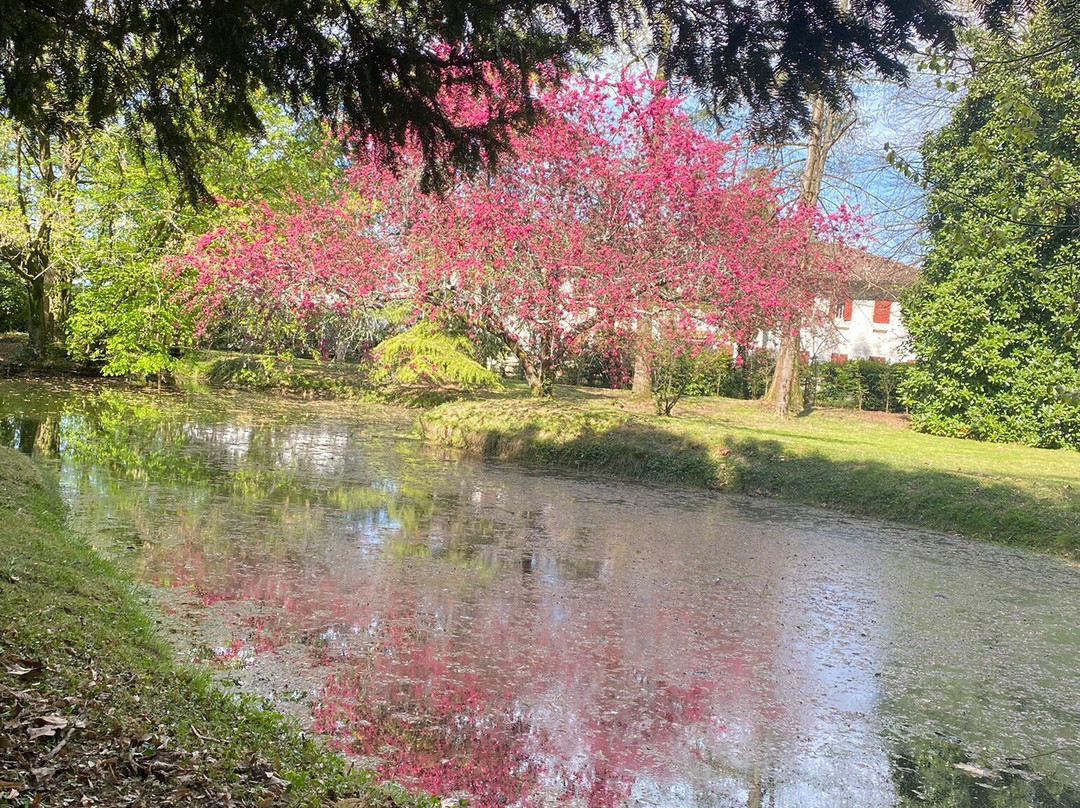 Azienda Agricola Rechsteiner-奥德尔佐必去景点