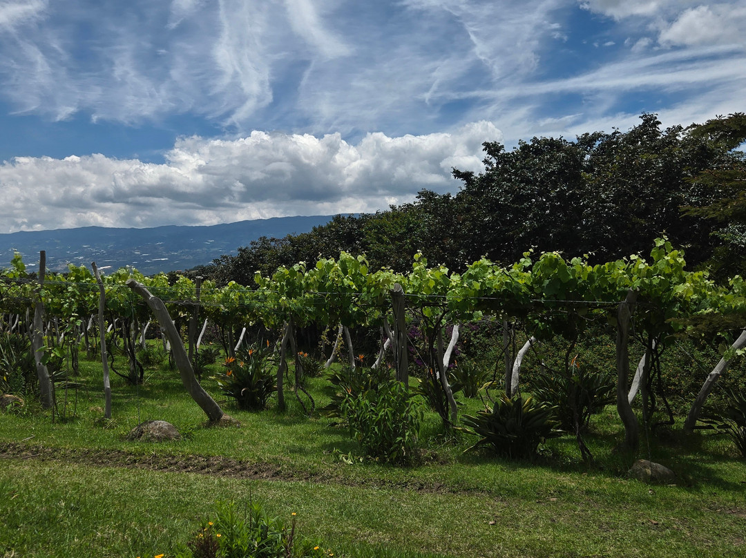 Eco Parque Conscientia Universallis-莱瓦镇必去景点