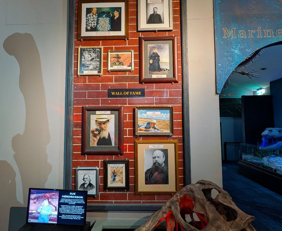 The National Dinosaur Museum-尼克斯必去景点