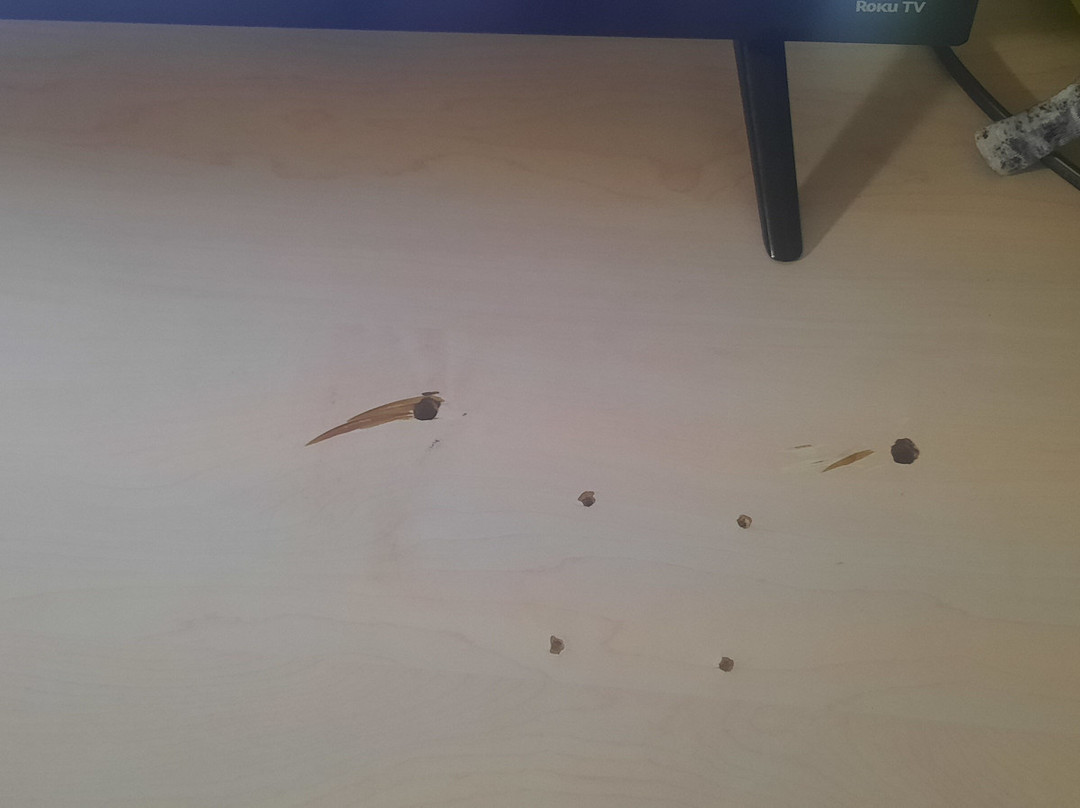 棕榈海岸 I-95 温德姆麦客达套房酒店主图