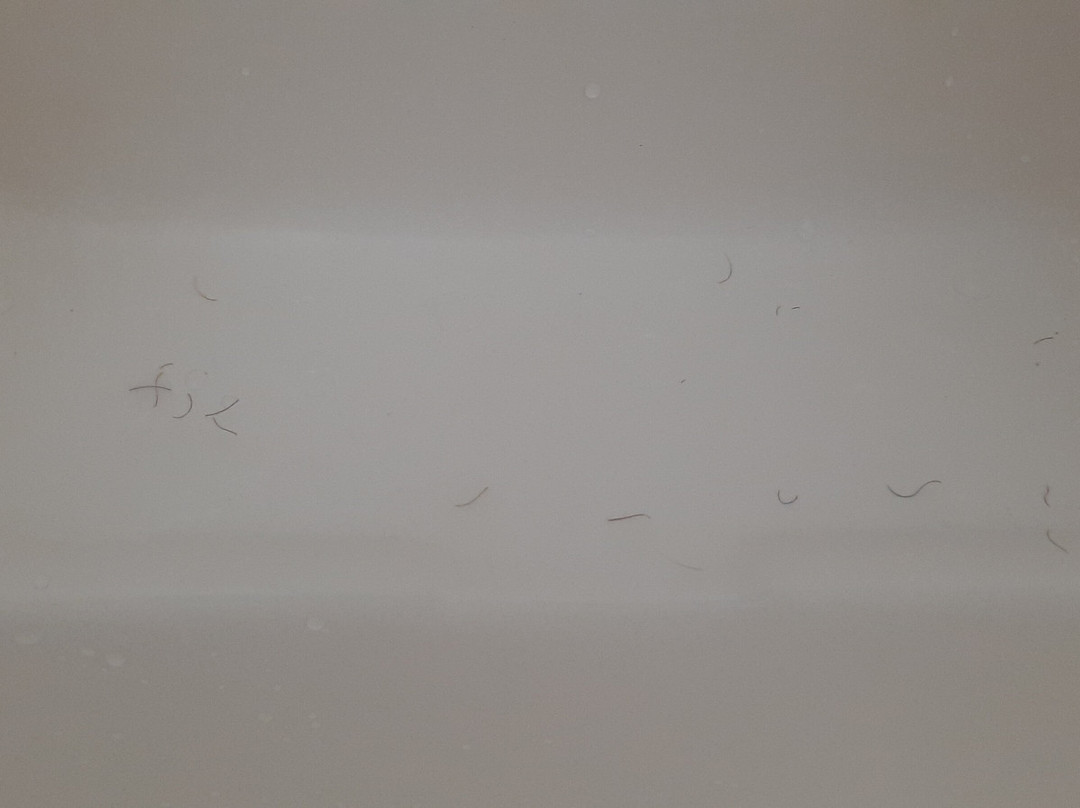 棕榈海岸 I-95 温德姆麦客达套房酒店主图