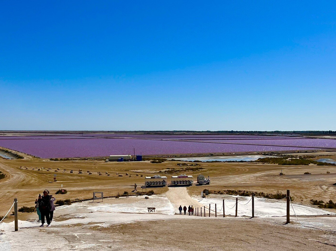 Salin d'Aigues-Mortes-艾格莫尔特必去景点