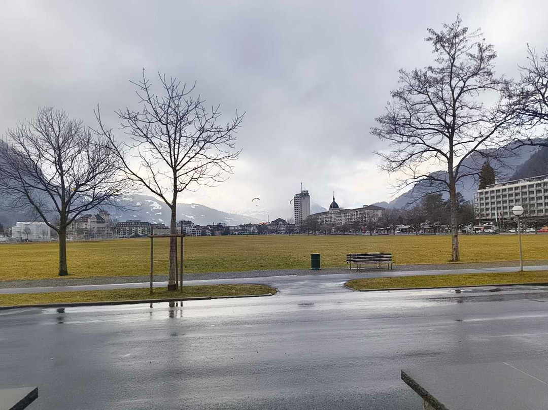 Hohematte Park-因特拉肯必去景点