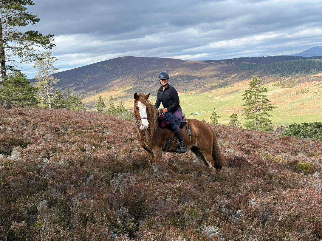 Highlands Unbridled Trail Riding & Trekking Centre-Aboyne必去景点