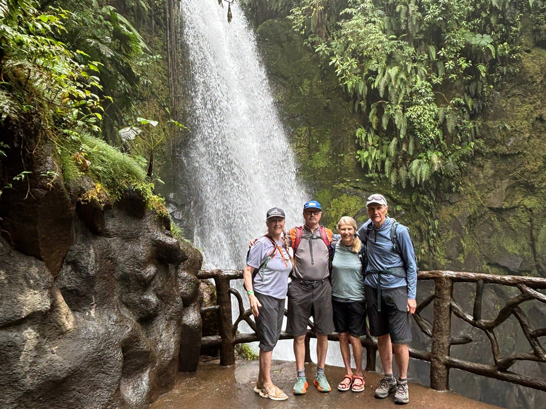 Sol Tropical Day Tours-圣何塞必去景点