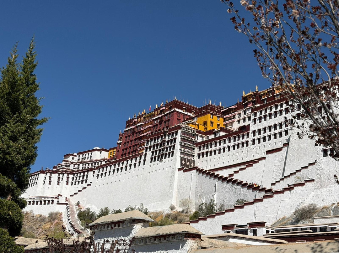 Xizang Vista-拉萨市必去景点