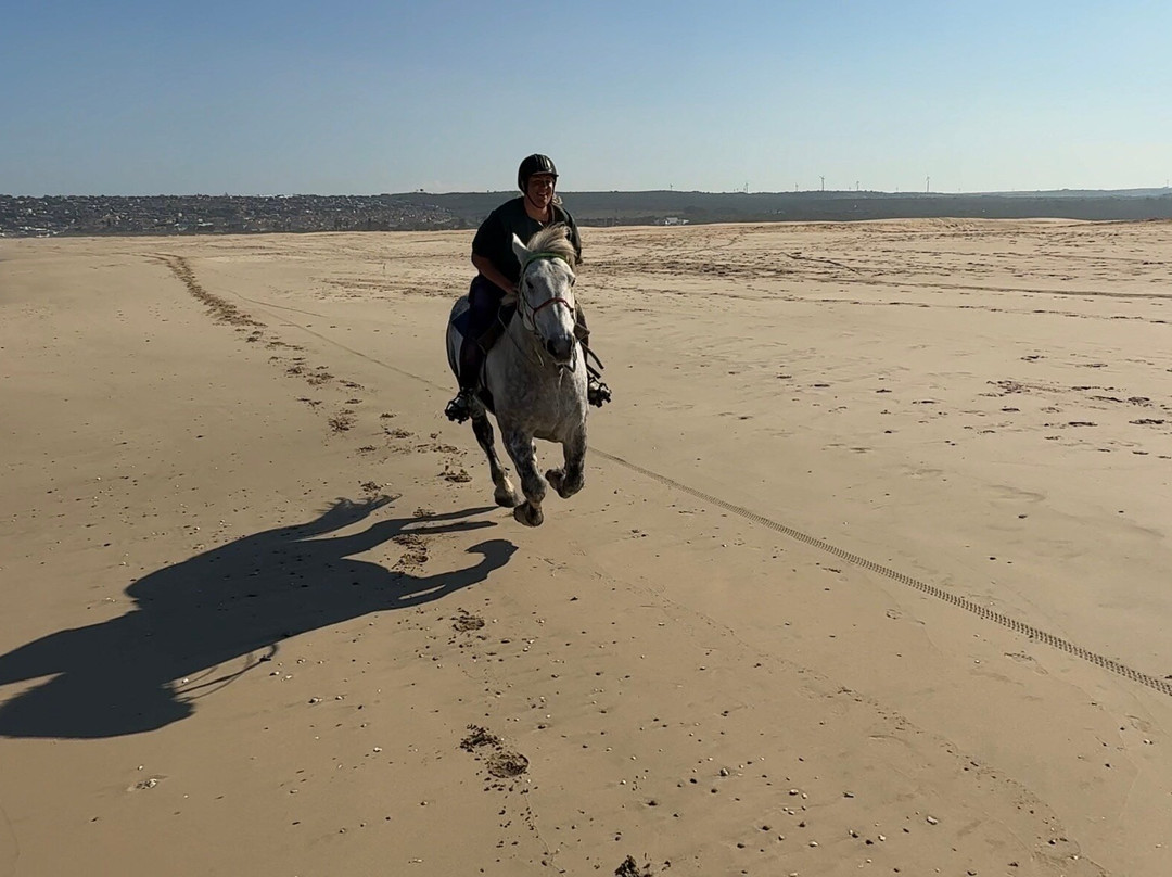 Featherfoot Beach Horse Trails & Riding School-杰佛瑞湾必去景点