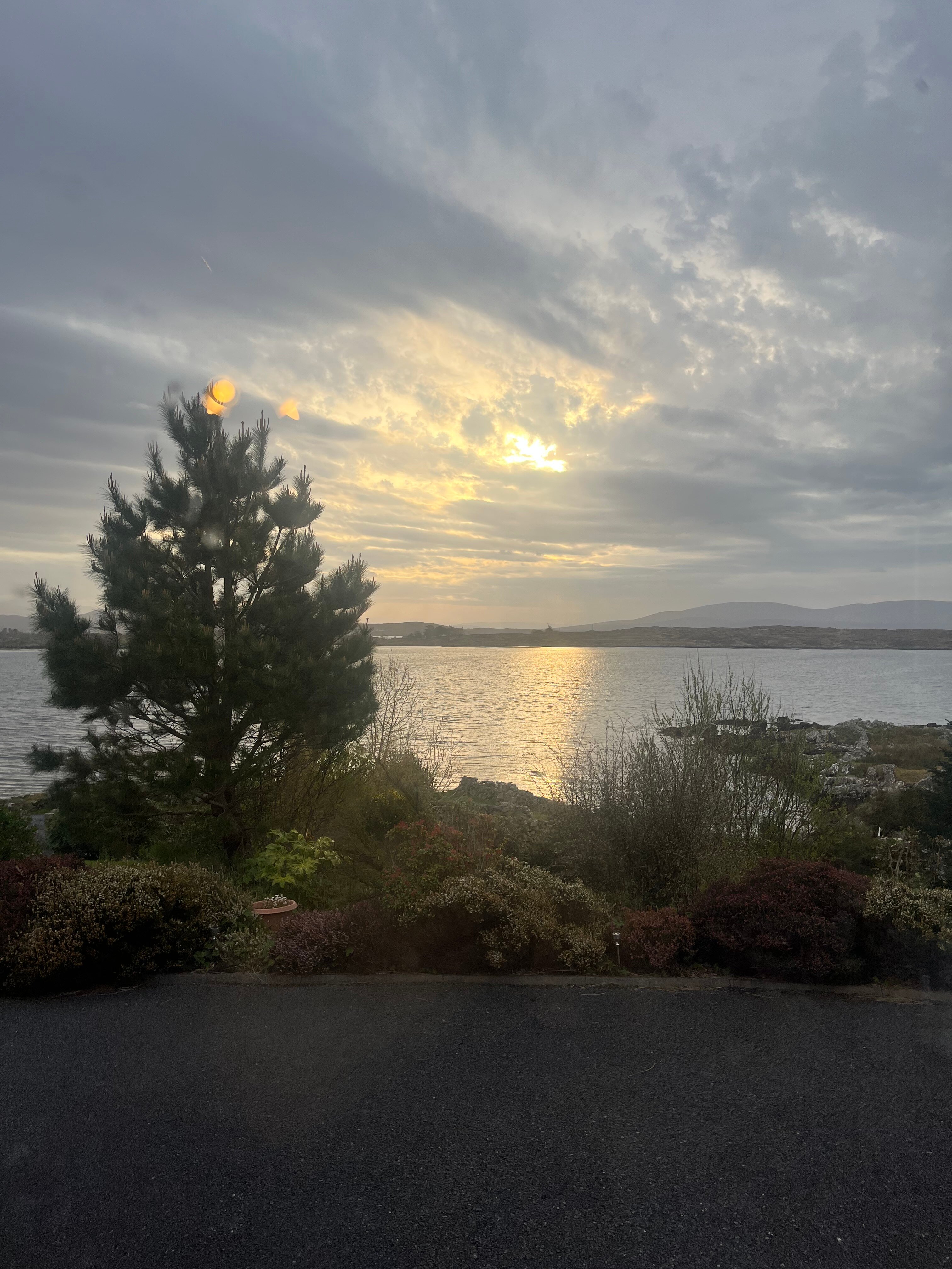 罗斯洛住宿加早餐旅舍-官方