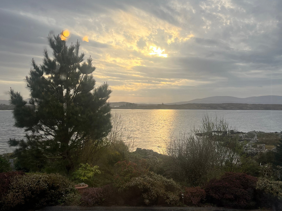 罗斯洛住宿加早餐旅舍主图